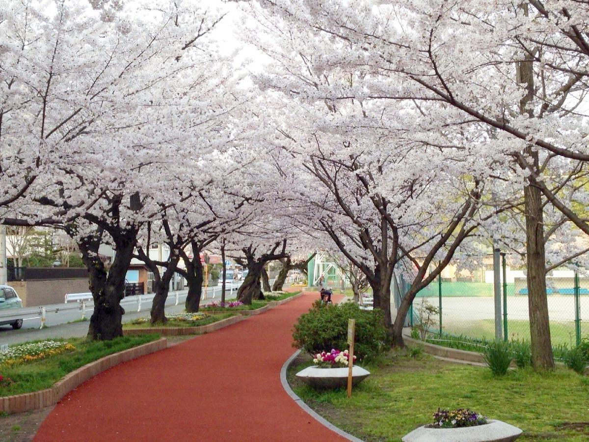Hotel Wbf Grande Hakata Фукуока Экстерьер фото
